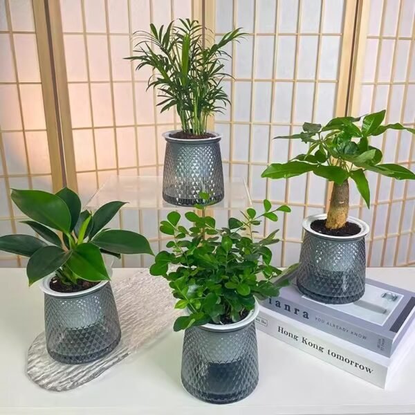 🌿 【Buy 3 Get 1 Free】 Lush Indoor Greenery Set – Areca Palm, Philodendron, Money Tree, Lucky Bamboo & Gardenia | Perfect for Home & Office Decor (Includes Pot) 🏡✨